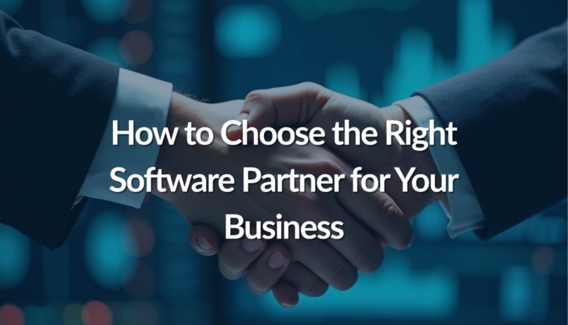 software partner in the UAE